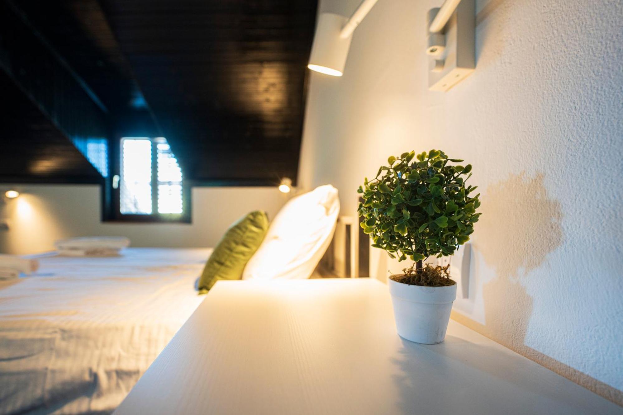 Cozy Nook B&B - Free Private Parking Нови-Сад Экстерьер фото